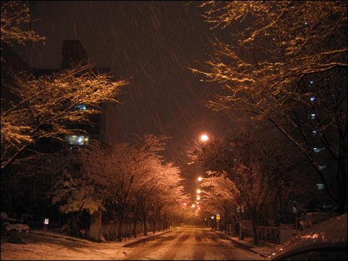 17일 새벽, 쏟아지는 눈을 보고 인천 자유공원 행을 결심합니다. 